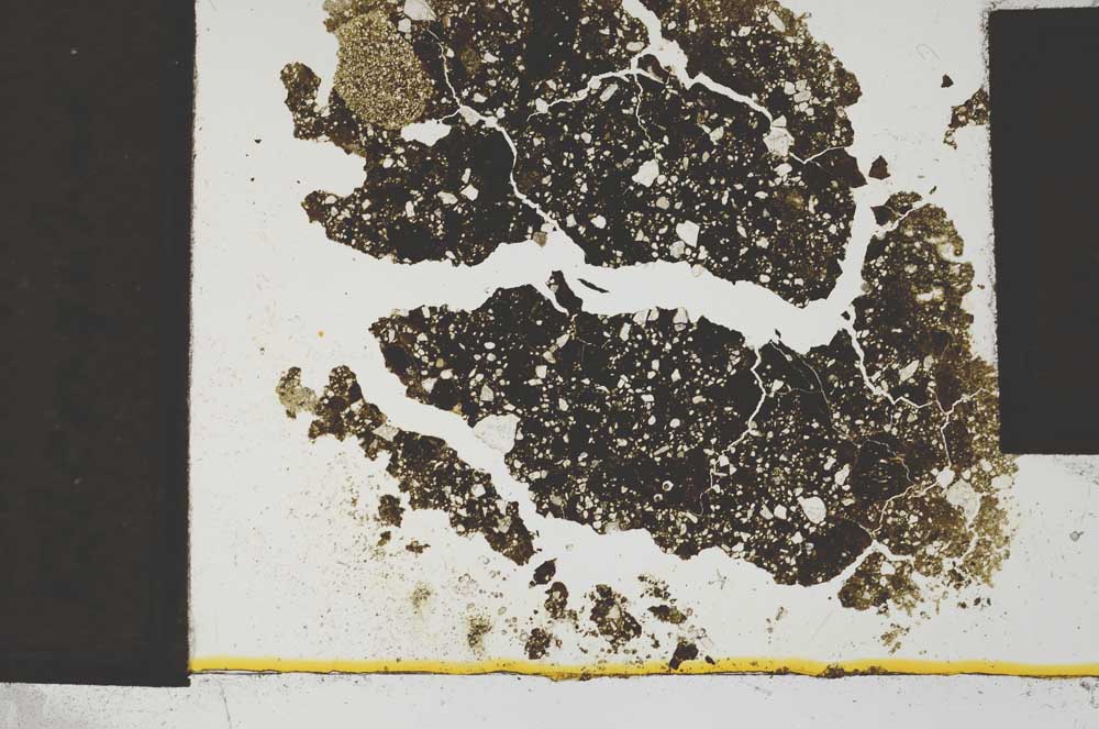 Plane Polarized, S1368