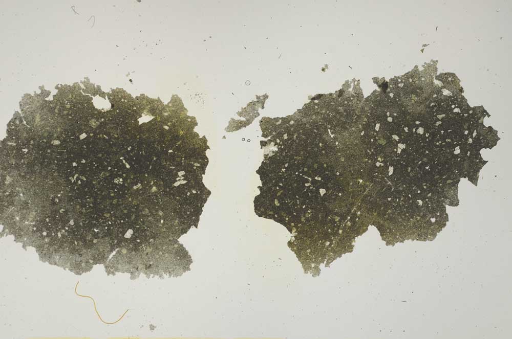 Plane Polarized, S1370