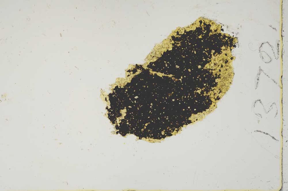 Plane Polarized, S1372