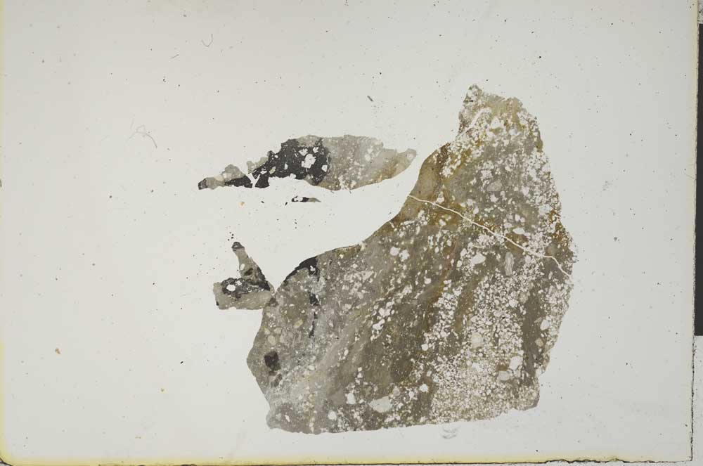Plane Polarized, S1374
