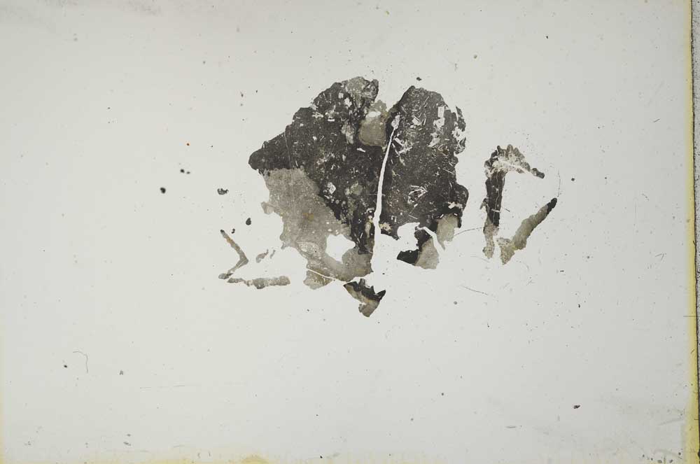 Plane Polarized, S1377/a