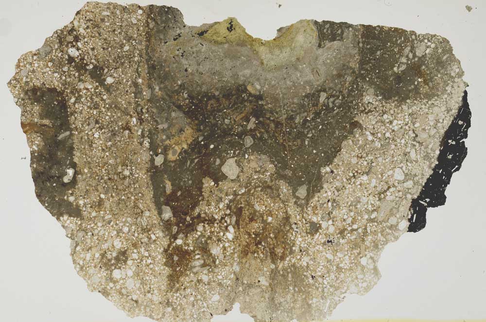 Plane Polarized, S1379