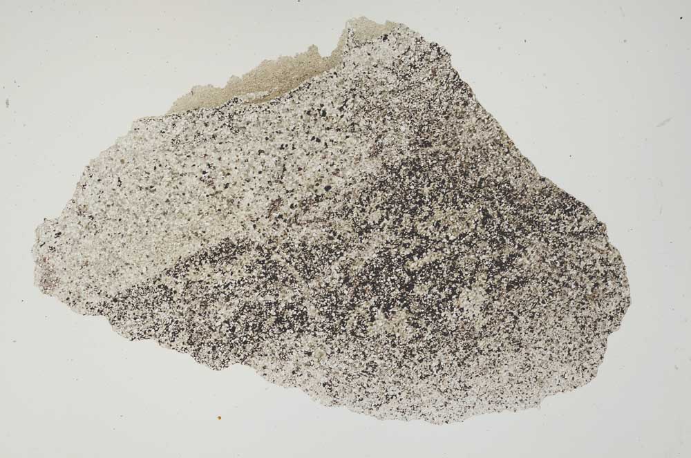 Plane Polarized, S1382