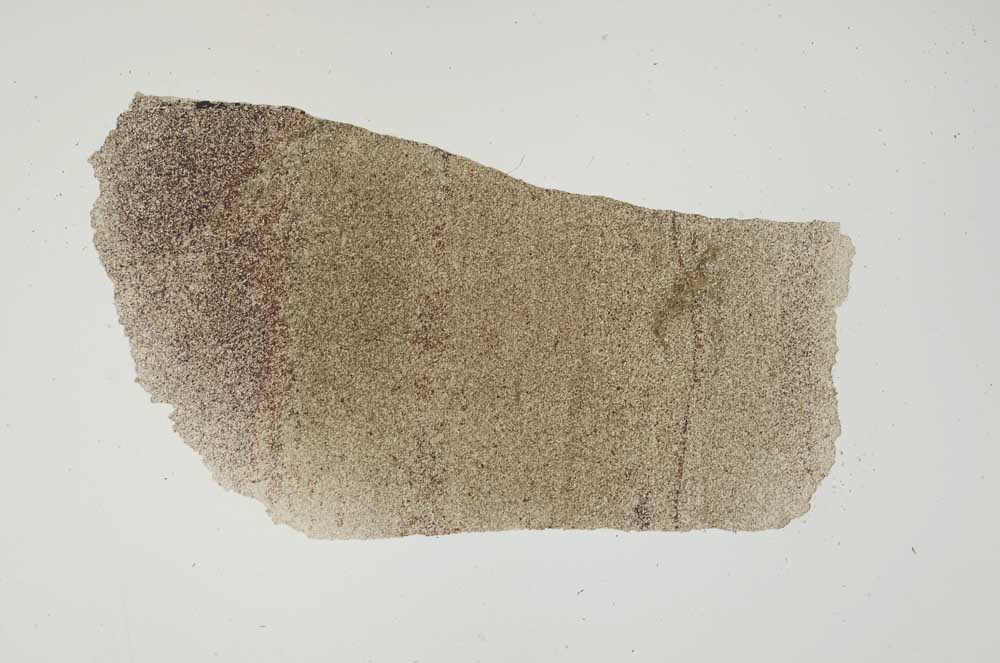 Plane Polarized, S1383