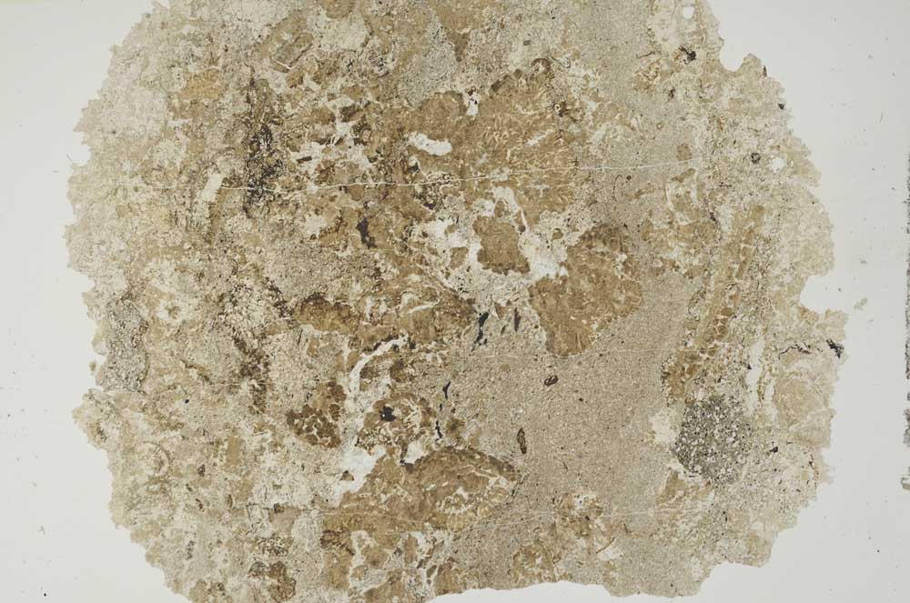 Plane Polarized, S1385