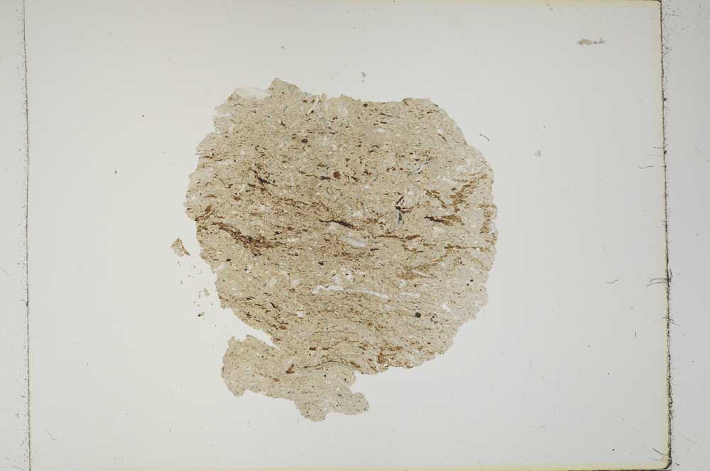 Plane Polarized, S1386