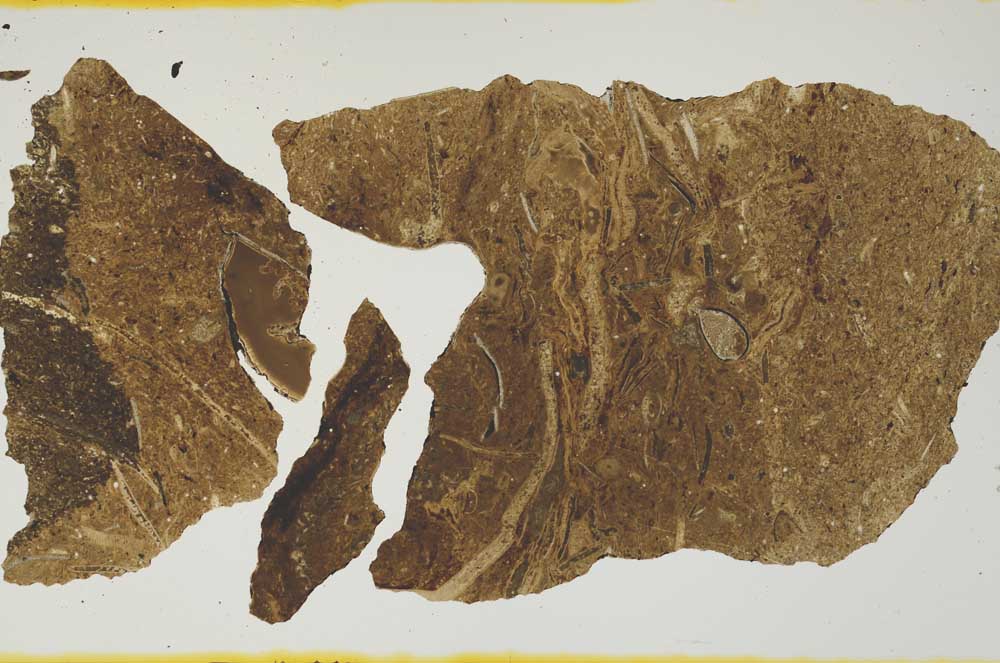 Plane Polarized, S1387