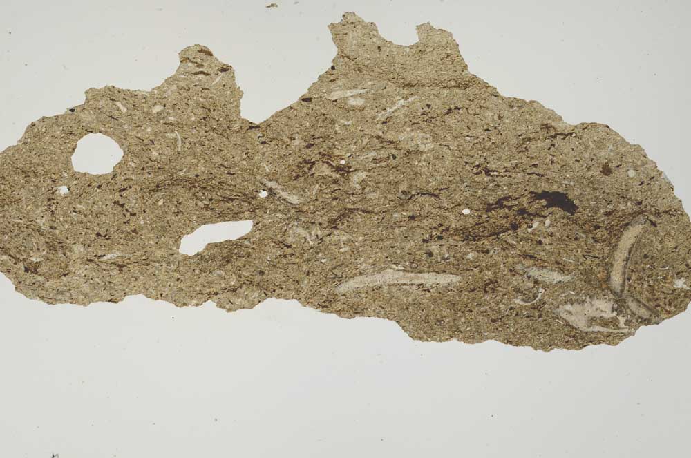 Plane Polarized, S1388