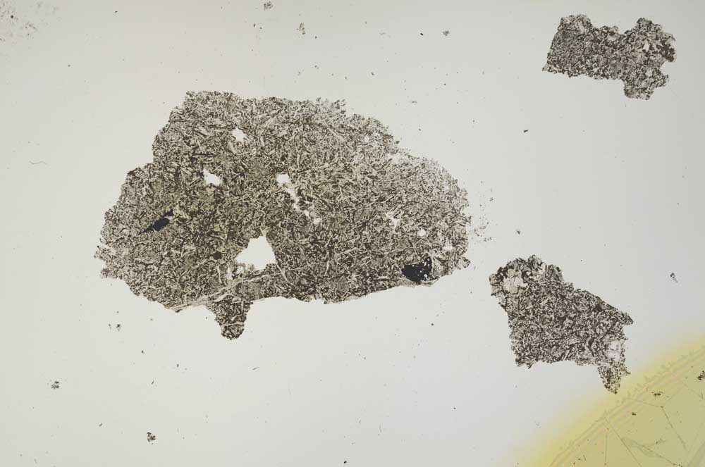 Plane Polarized, S1390