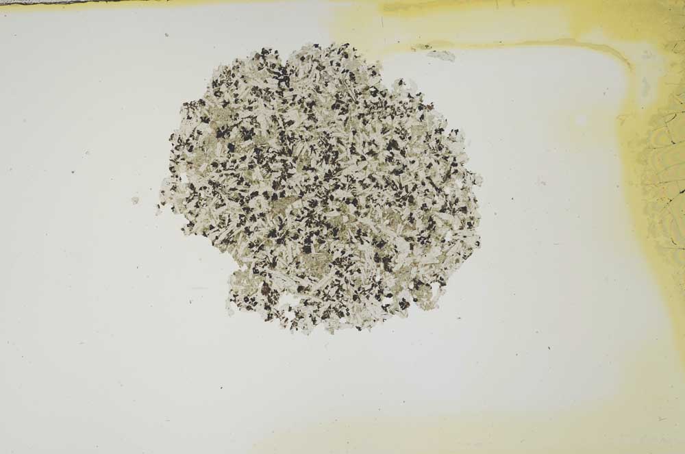 Plane Polarized, S1391