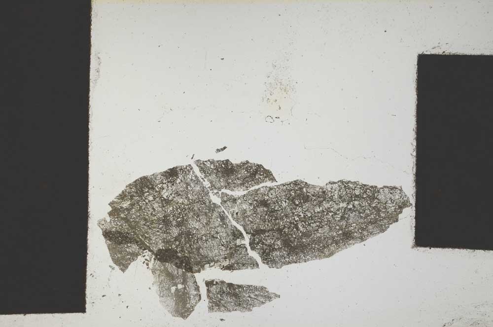 Plane Polarized, S1393