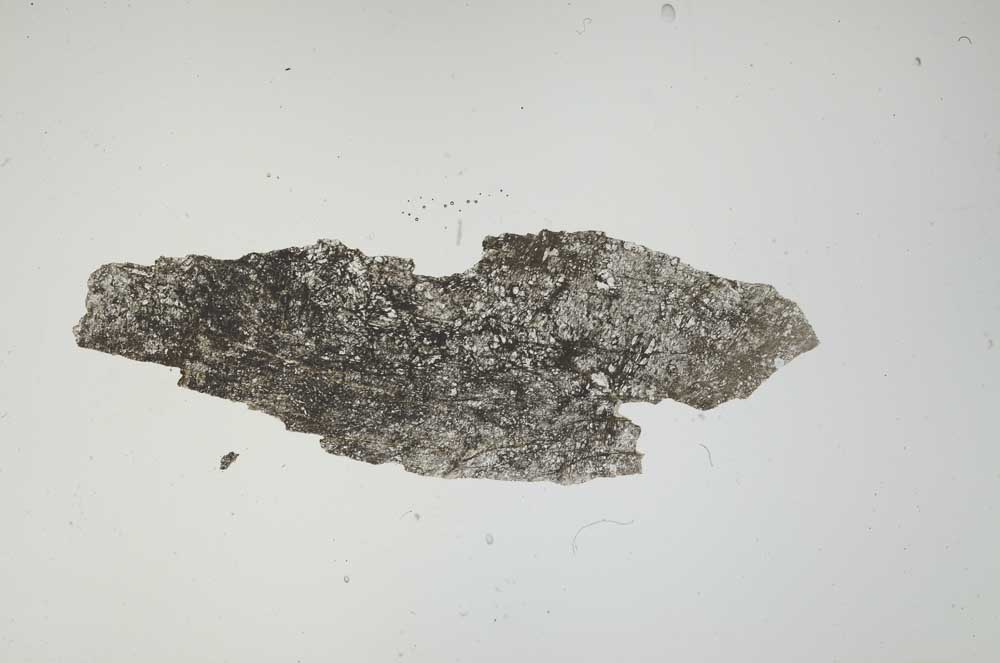 Plane Polarized, S1393/a