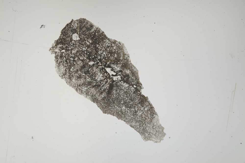 Plane Polarized, S1393/b