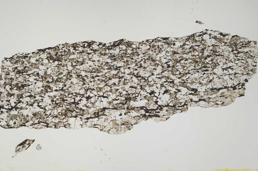 Plane Polarized, S1405