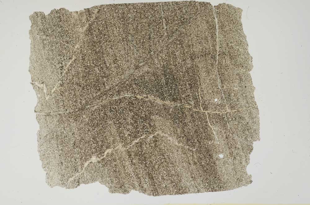 Plane Polarized, S1414