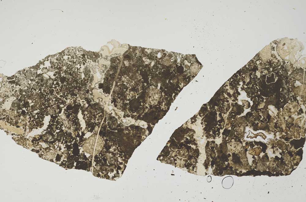 Plane Polarized, S1416