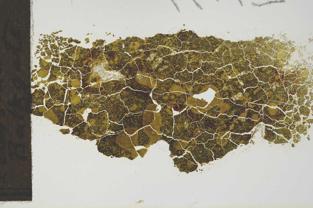 Plane Polarized, S1417