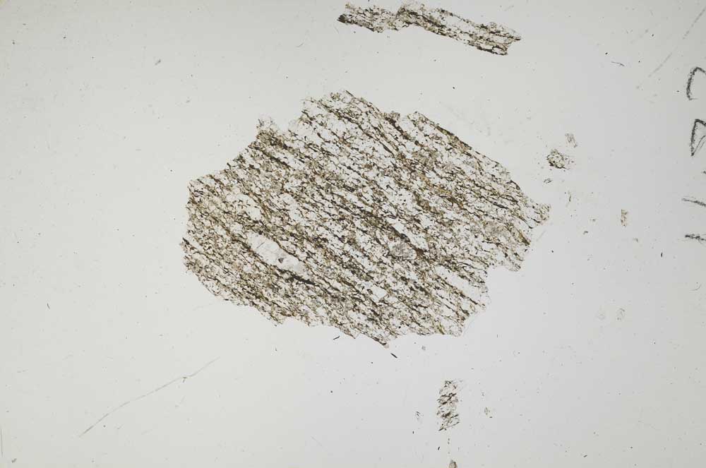 Plane Polarized, S1433