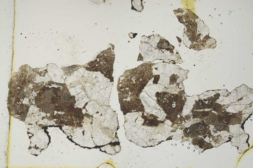 Plane Polarized, S1445