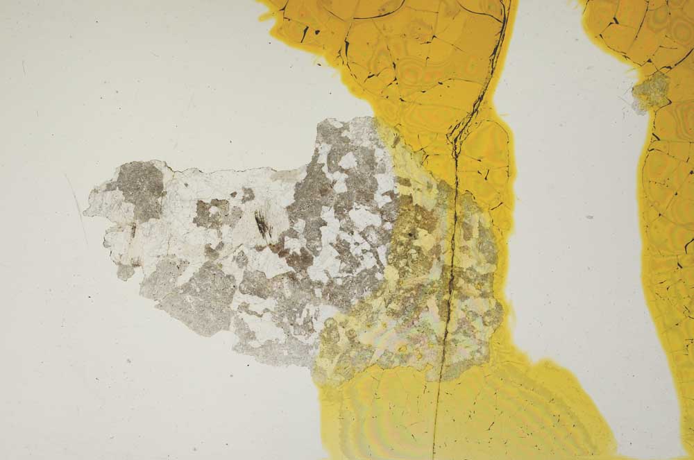 Plane Polarized, S1446