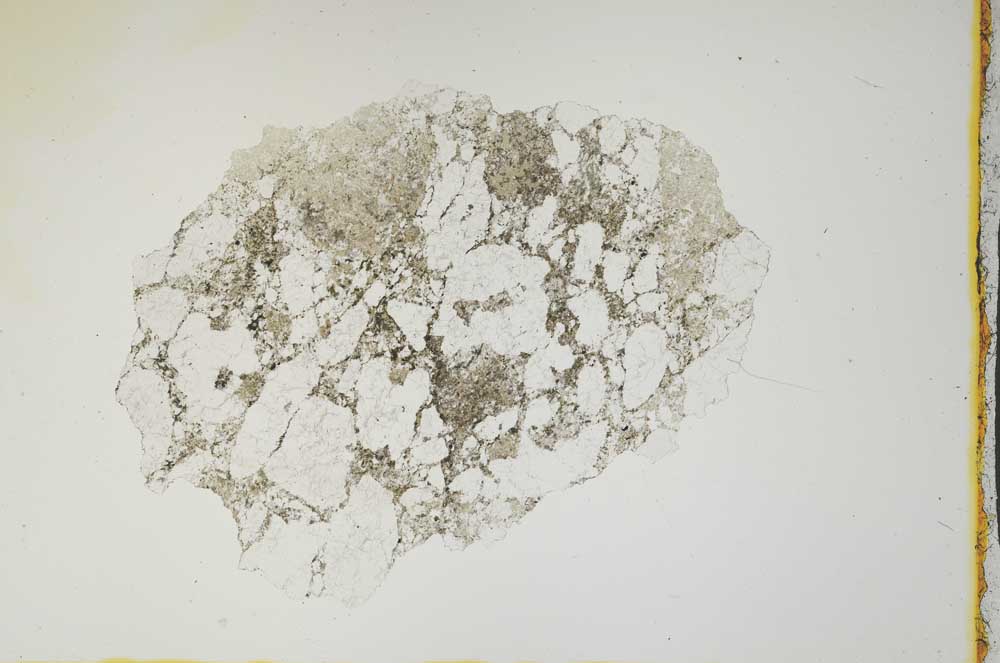Plane Polarized, S1455
