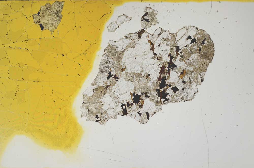 Plane Polarized, S1458