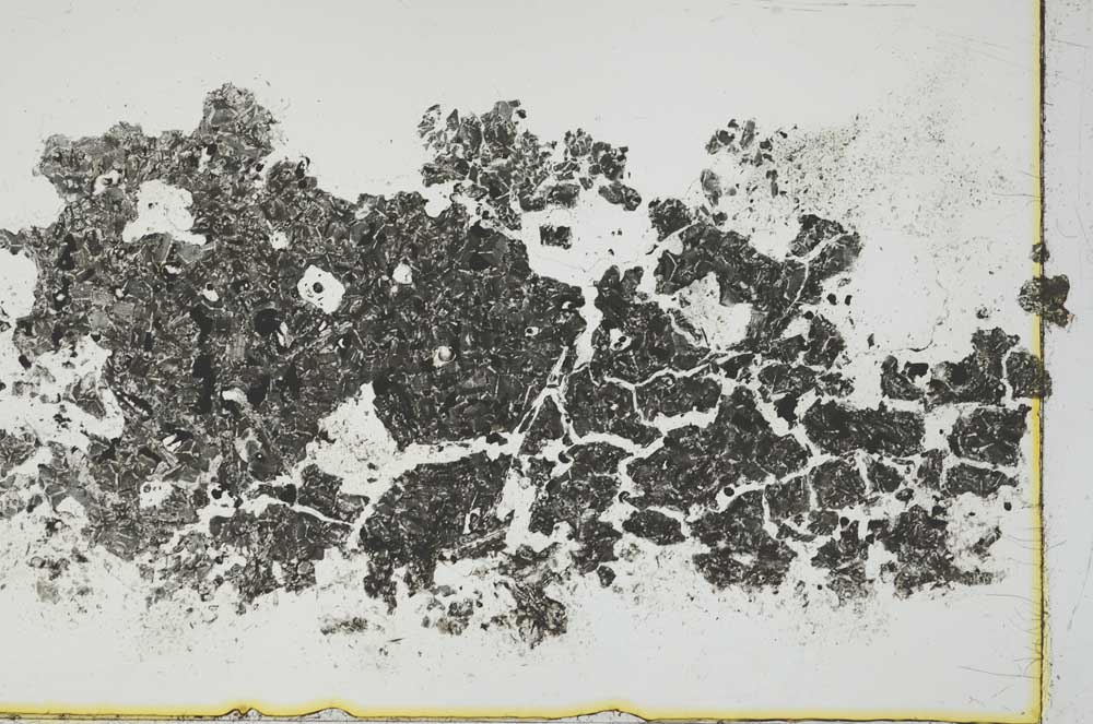 Plane Polarized, S1469