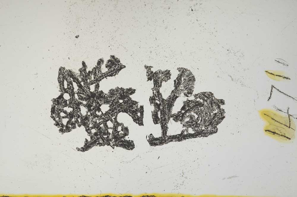 Plane Polarized, S1471