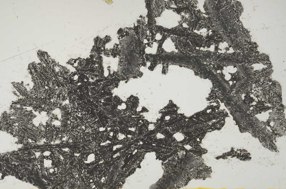 Plane Polarized, S1473