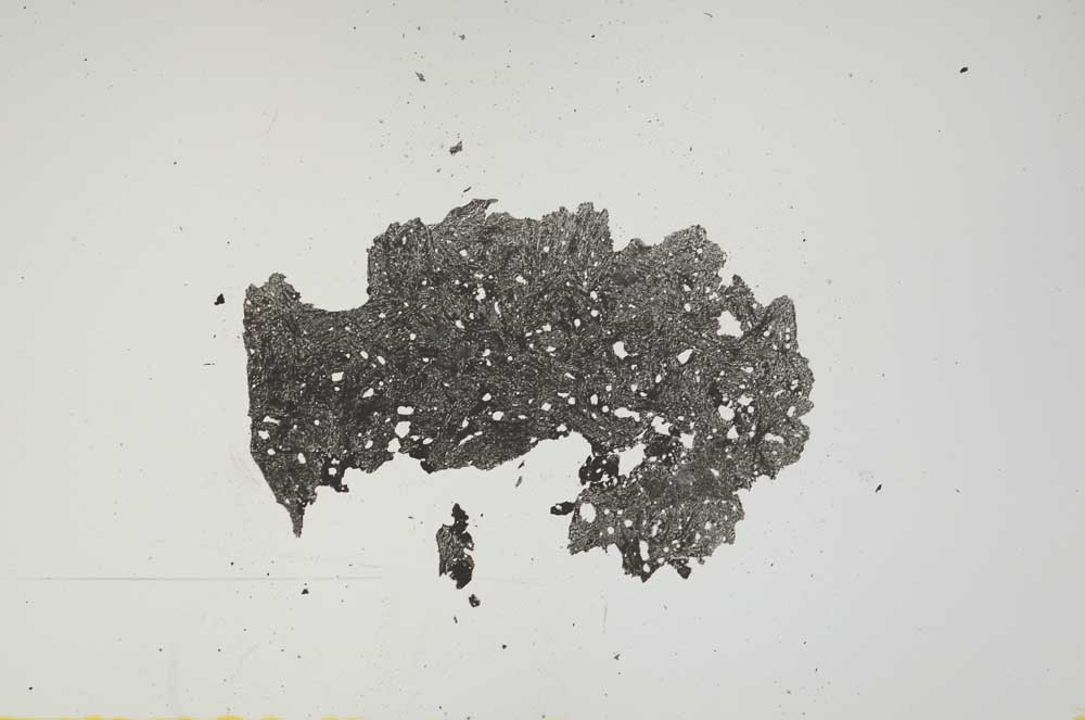 Plane Polarized, S1475