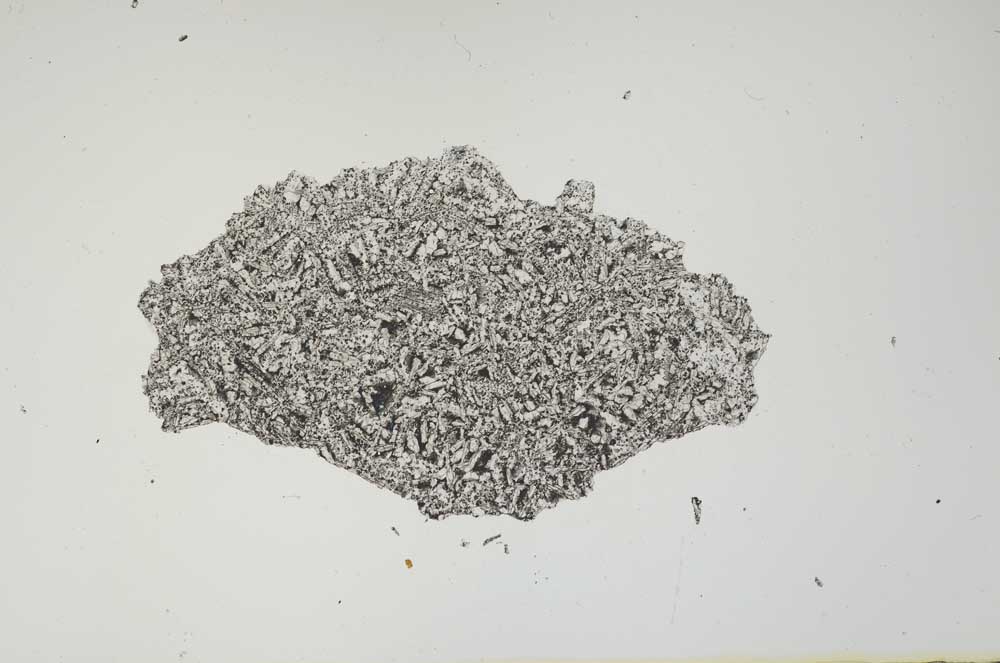Plane Polarized, S1478
