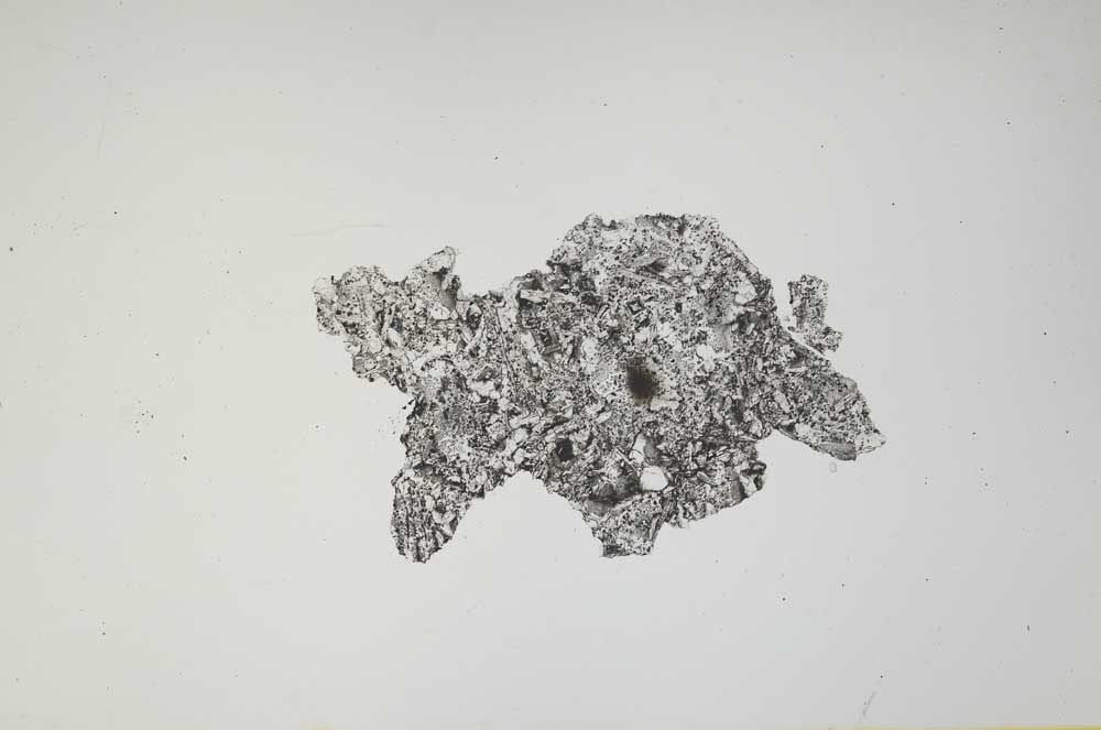 Plane Polarized, S1479