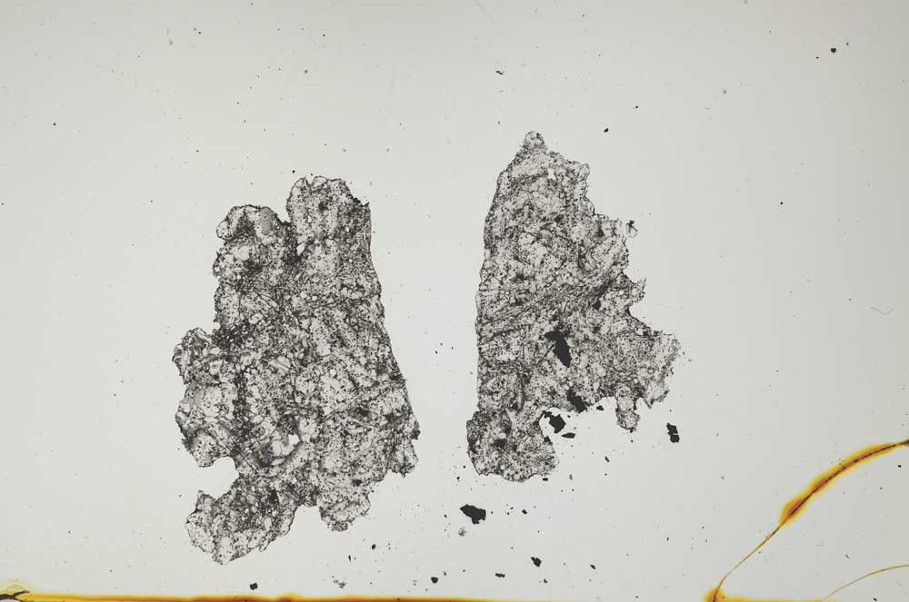Plane Polarized, S1480