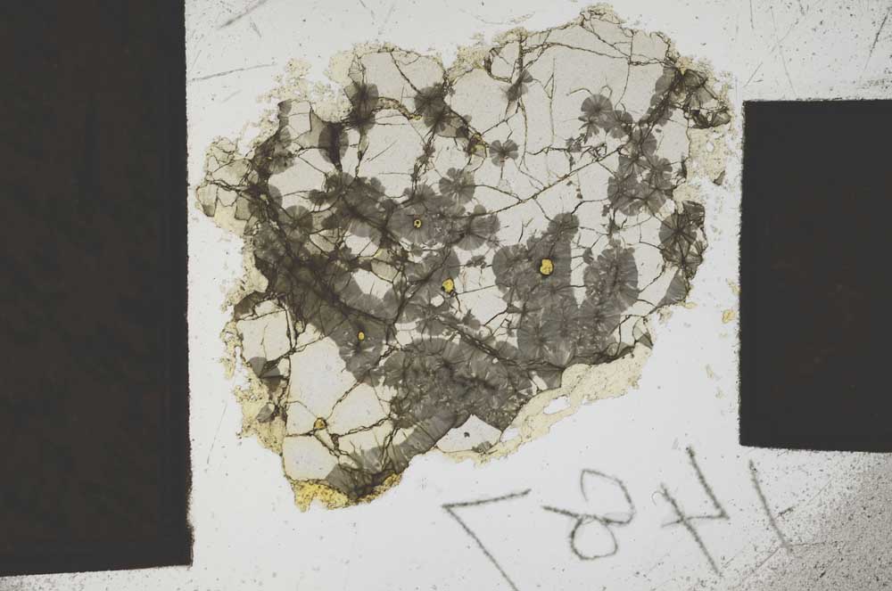 Plane Polarized, S1487