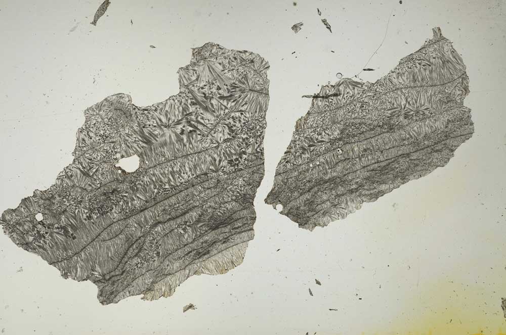 Plane Polarized, S1490