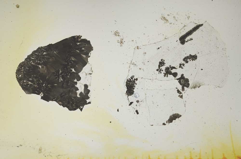 Plane Polarized, S1492