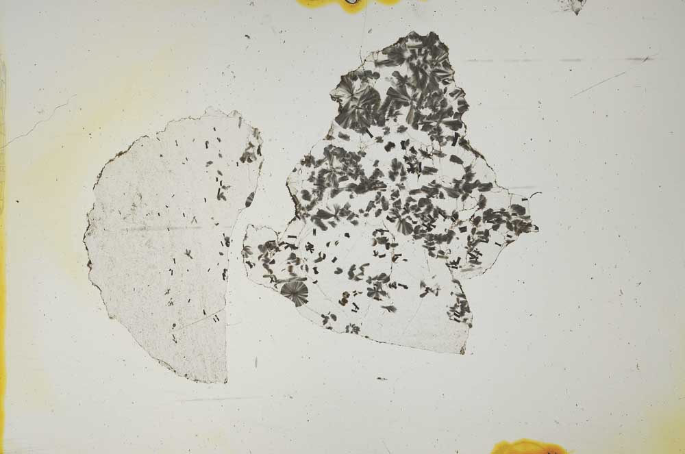 Plane Polarized, S1495