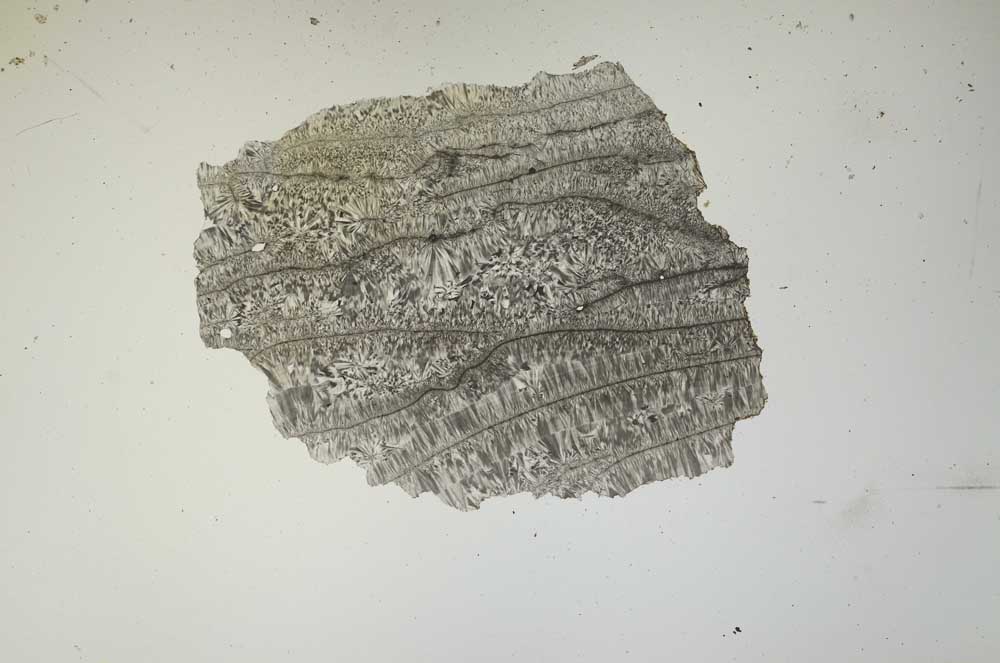 Plane Polarized, S1497