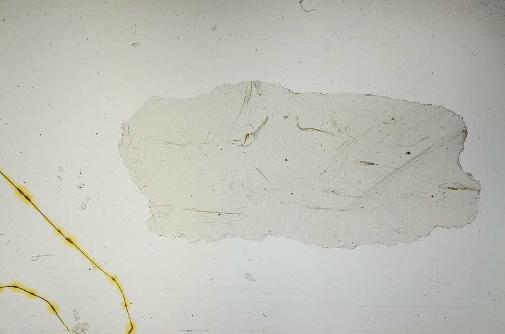 Plane Polarized, S1498