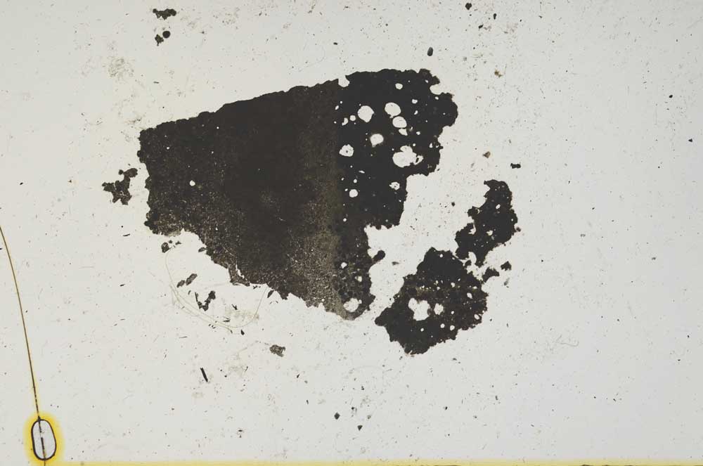 Plane Polarized, S1509