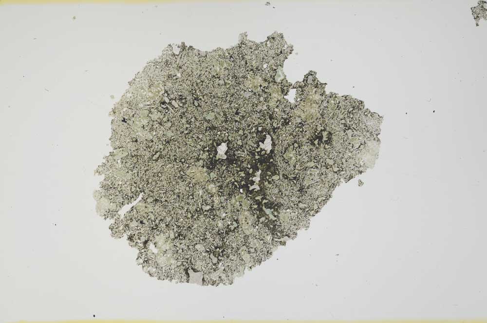 Plane Polarized, S1534