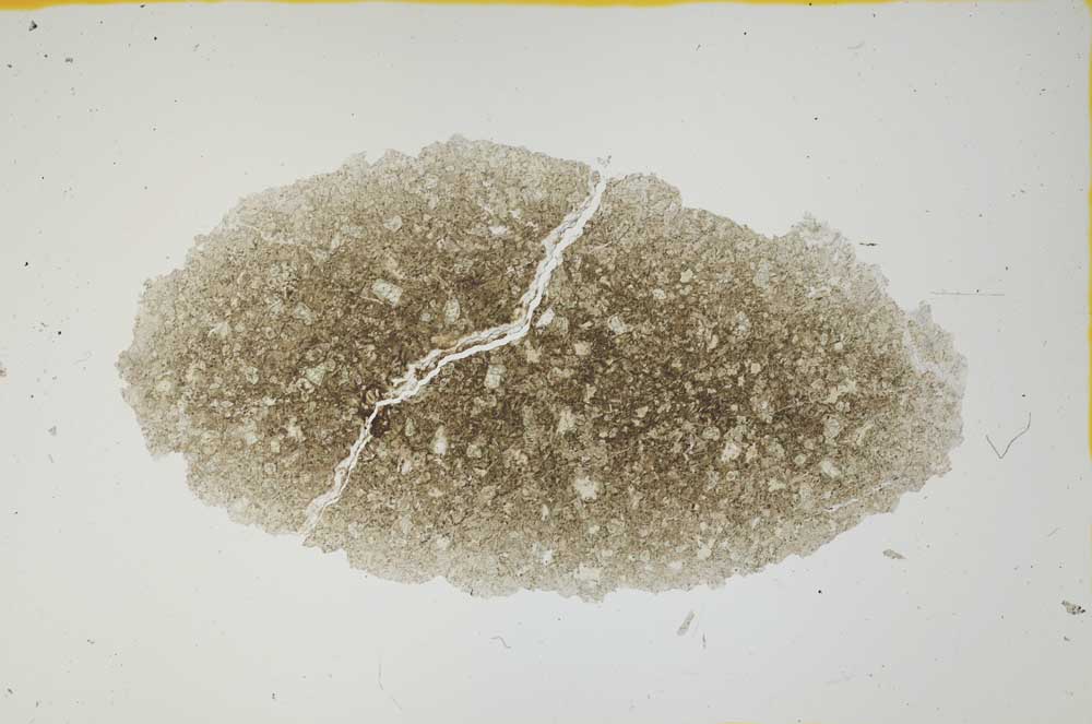 Plane Polarized, S1544