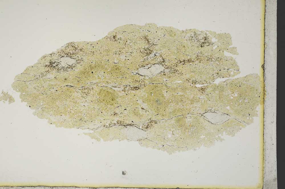 Plane Polarized, S10903