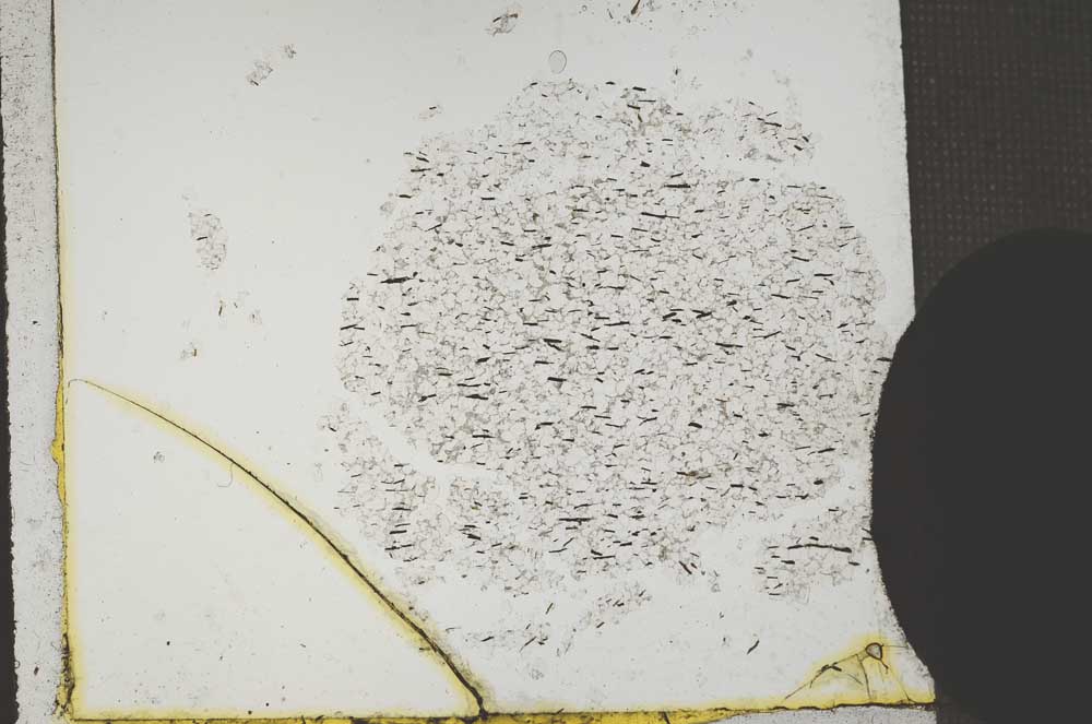 Plane Polarized, S11052