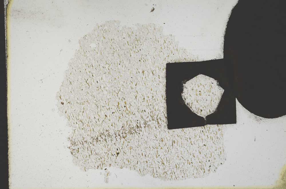 Plane Polarized, S11053