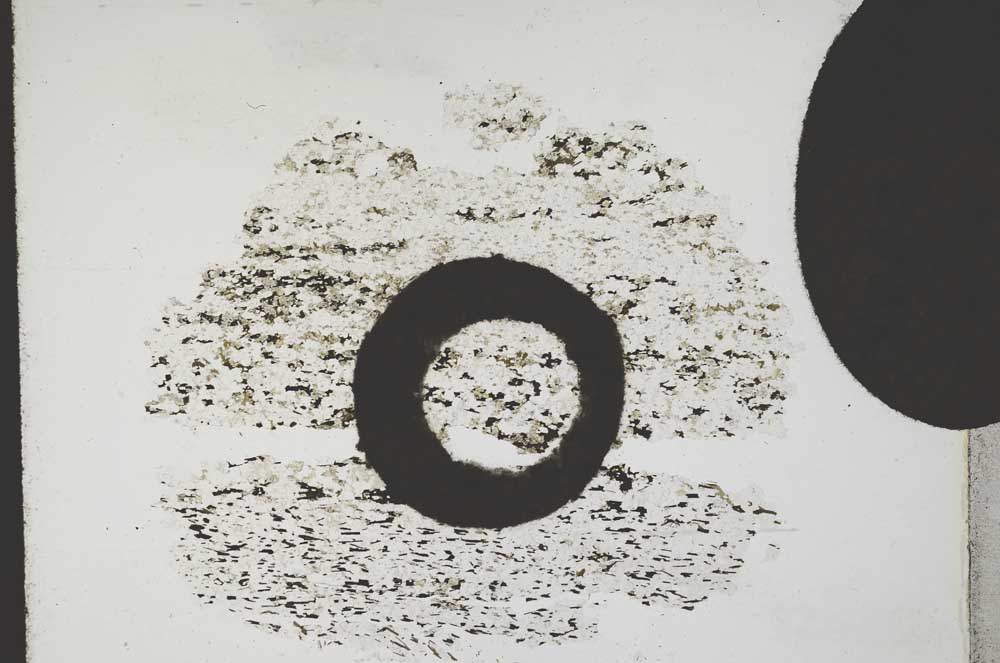 Plane Polarized, S11054