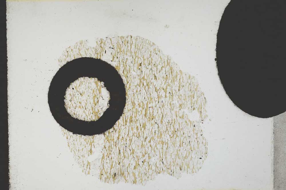 Plane Polarized, S11055