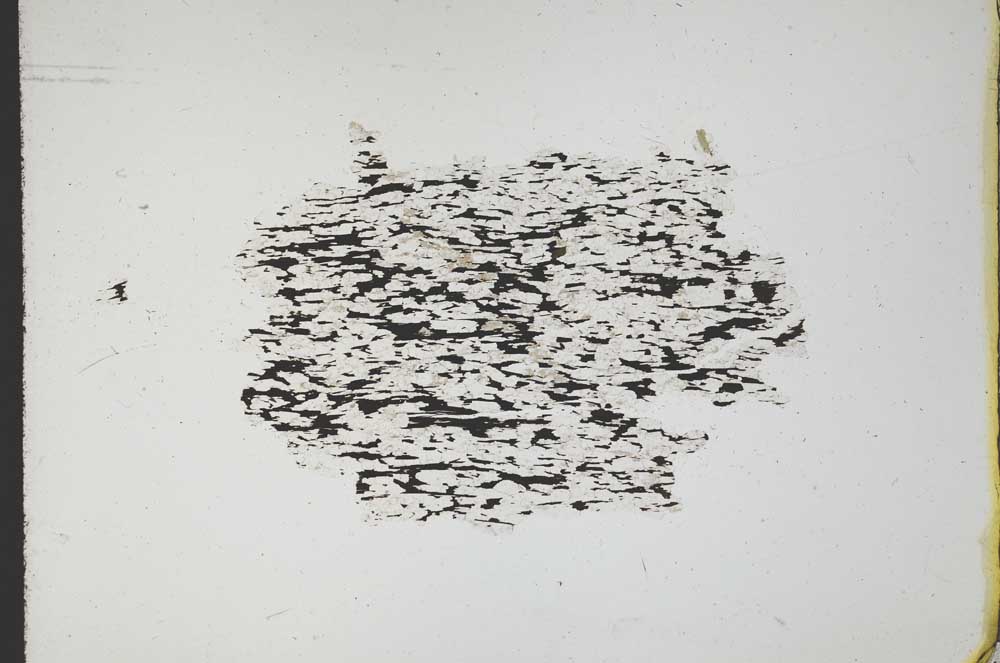 Plane Polarized, S11057