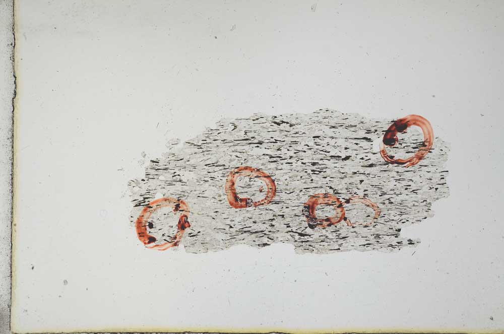 Plane Polarized, S11058