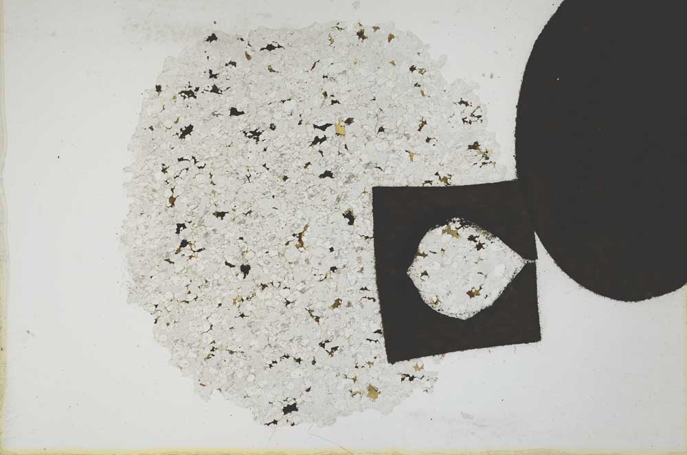 Plane Polarized, S11059